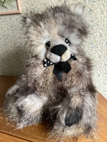 Gorgeous kaycee bears - gorgeous, mr