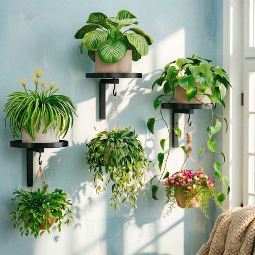 Potted plant display stand - potted,