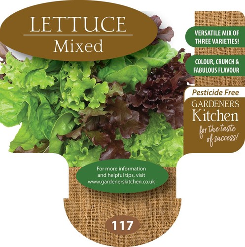 Lettuce plants mixed 6 - lettuce, x