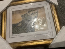 Stephen Gayford High Noon