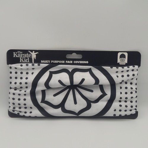 The karate kid multi - the, purpose
