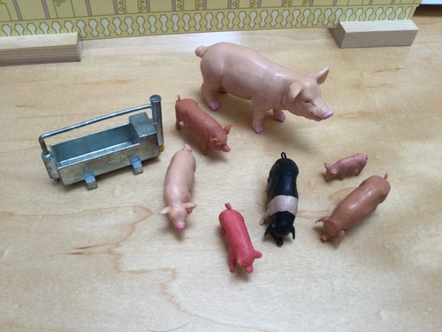 Britain vintage farm pigs - farm,