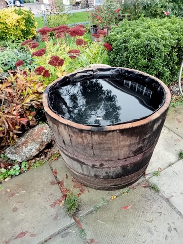 Water tight oak - oak, with