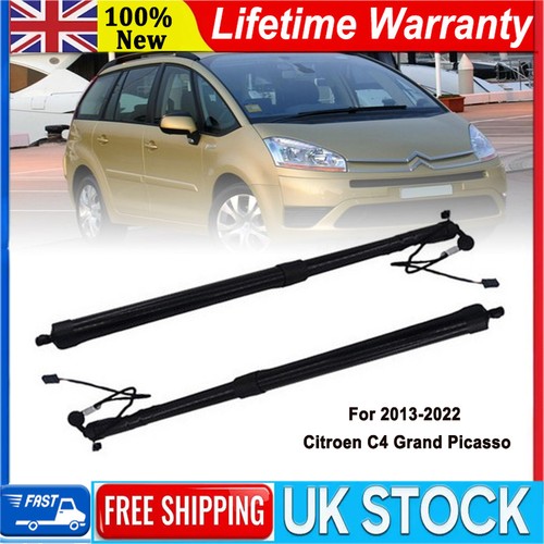 Left right electronic tailgate - left+right,