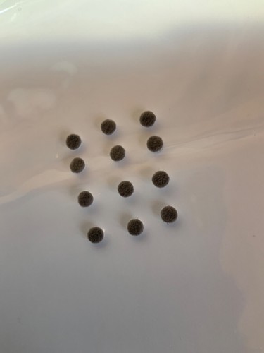 5mm round self adhesive - (xs),