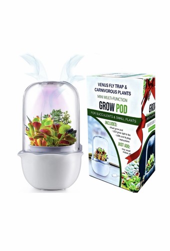 Mart venus fly trap terrarium - mart,