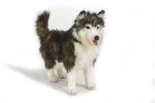 Hansa Siberian Husky Dog 4824