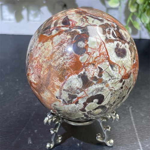 1lb natural money - 2.8", agate