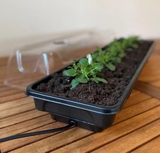 Jumbo windowsill heated - windowsill, plant