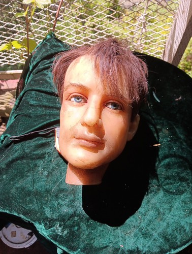 Antique wax mannequin head