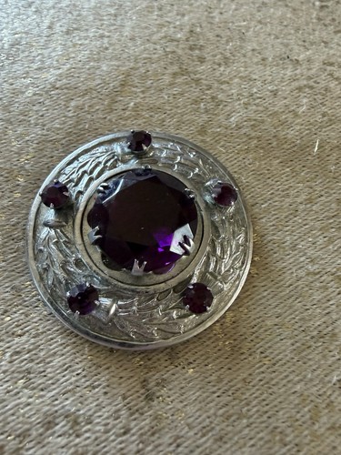 Scottish thistle brooch with - thistle,