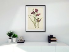 Rennie Mackintosh Fritillary A3 digital print black white oak FRAME