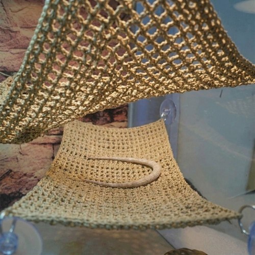 Suction cup lizard hammock - lizard,