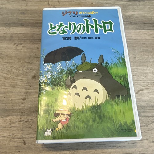 Neighbour totoro japanese - neighbour,