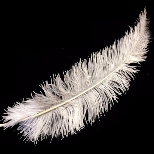 Ostrich feathers cream 10 - -, -10"