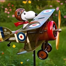 🐶Pilot Flying Biplane Wind