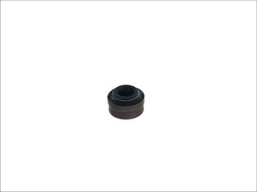 Valve stem seal outlet side - valve,