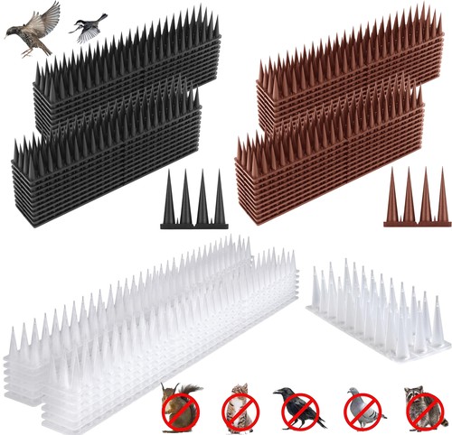 10m 20m pigeon - 20m, spikes