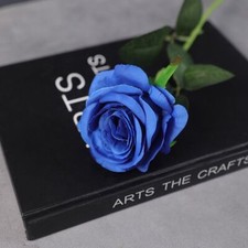 1x Rainbow Colorful Artificial