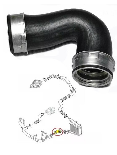 Intercooler turbo hose lower - hose,