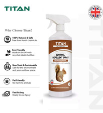 100% Natural Squirrel