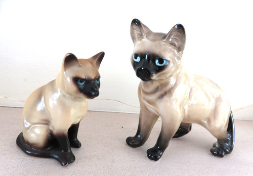 Two vintage siamese cat - siamese,