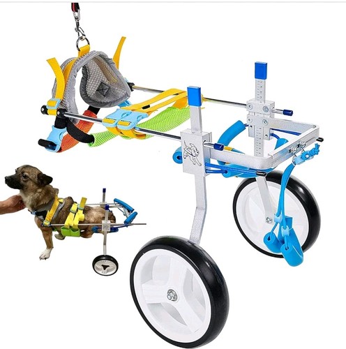 Jievmrs wheel pet - wheel, dog