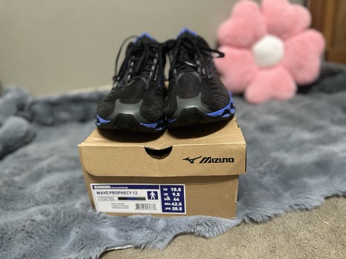 Mizuno wave prophecy - wave,