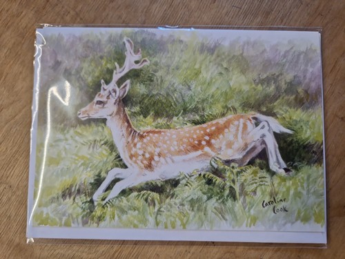 Fallow deer birthday - deer,