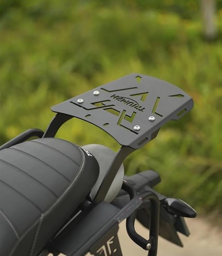Sgtb triumph back carrier - sgtb,