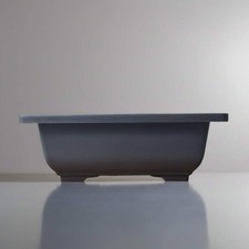 Plastic Bonsai Training Pot |