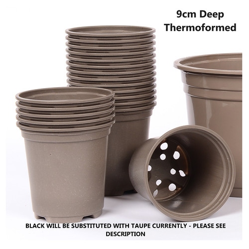 Plant pots 9cm - plant,
