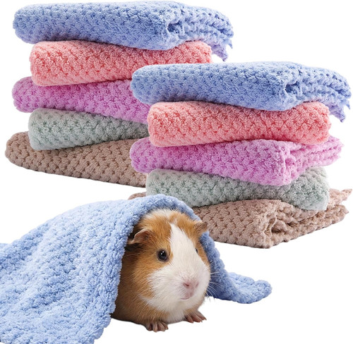 Guinea pig blanket piece - guinea, 10-piece