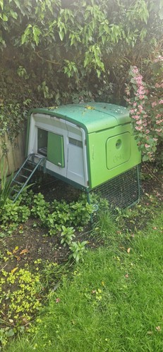 Omlet chicken coop - omlet,
