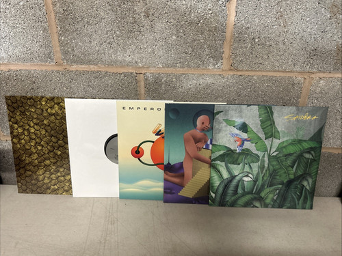 Electronic vinyl - 12”,