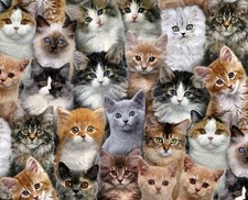 Fat Quarter Adorable Pets