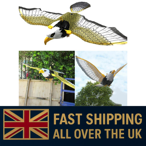 Flying bird hawk scarer - flying,