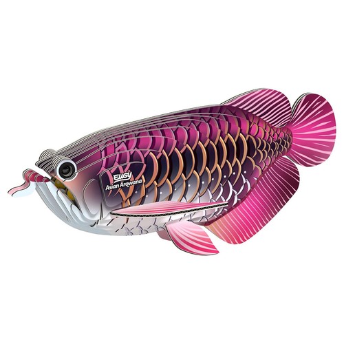 Eugy asian arowana - arowana, model
