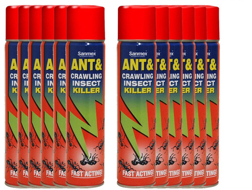 Sanmex ant crawling insect - sanmex,