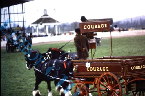 Courage ales horse drawn dray - horse,
