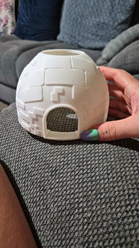 Igloo elf shelf - on, hideaway