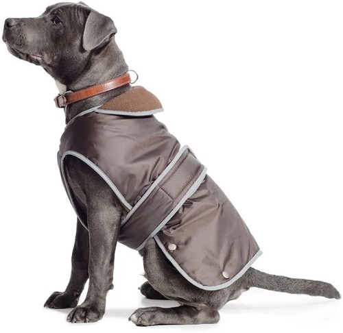 Ancol muddy paws all - paws,