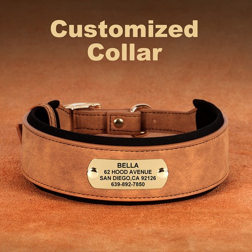 Wide leather dog - wide, collar