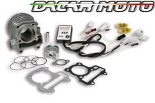 Malossi Complete Cylinder