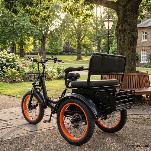Electric tricycle adult - electric,
