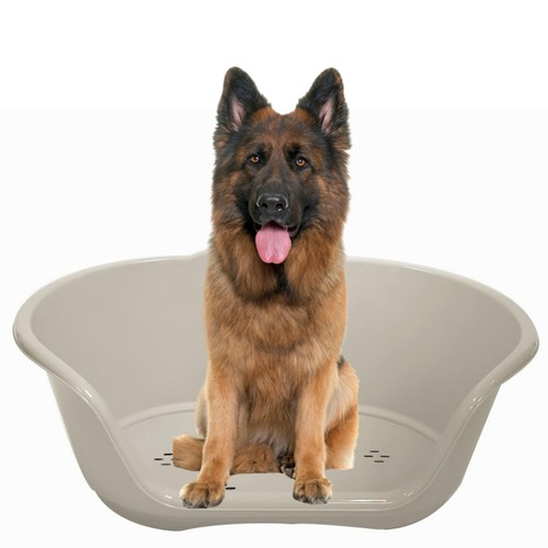 Grey plastic pet bed - bed, basket
