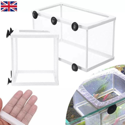 Aquarium fish tank guppy - s/l,