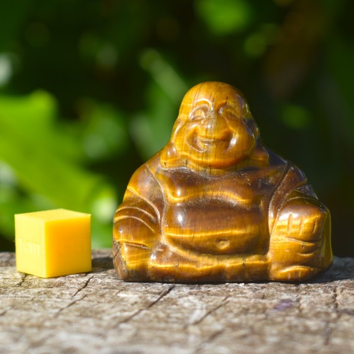 Natural tigers eye laughing - tigers,