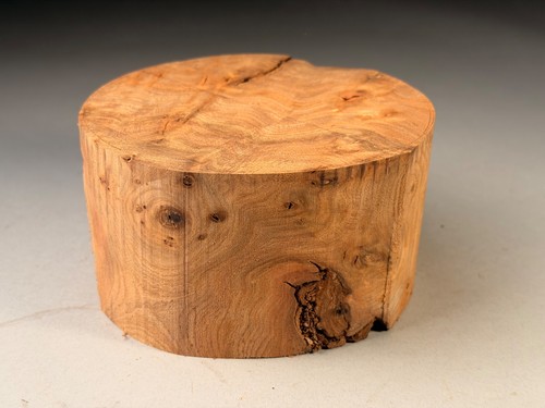 Burr elm wood turning bowl - wood,