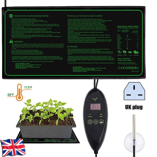 Garden greenhouse plant - garden,